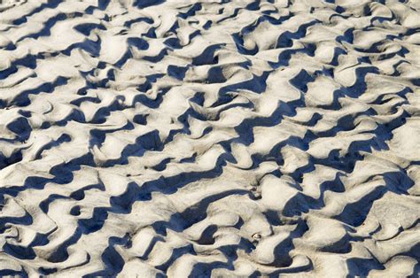 Ocean Sand Background Free Stock Photo Public Domain Pictures