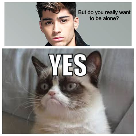So I Got Really Bored And Created Possibly The Best Grumpy Cat One Direction Meme EVER Funny