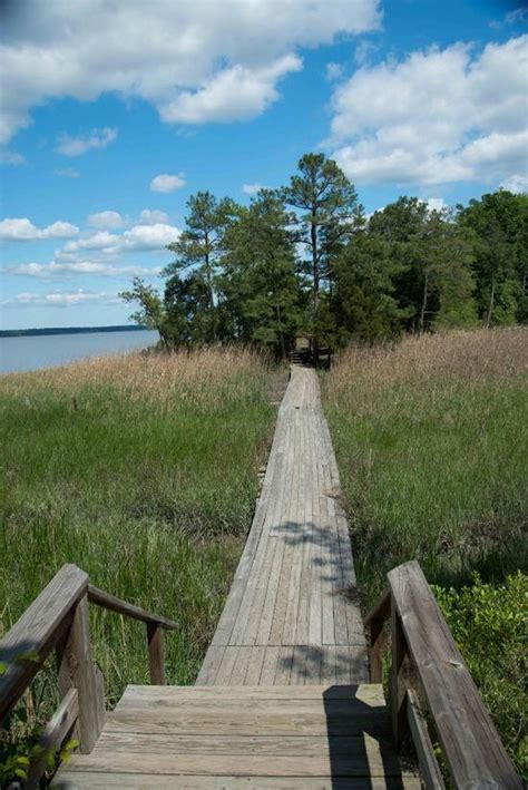 Free to all and open 365 days a year. York River State Park Features An Awesome Boardwalk Hike