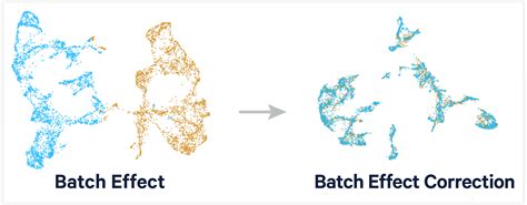 Batch Effect Correction 10x Genomics