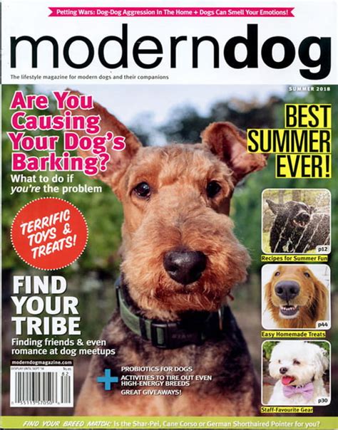 Modern Dog Magazine Subscription Studentmags