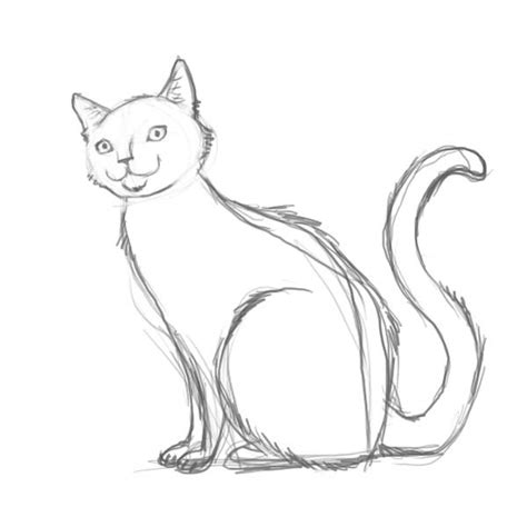 Wie Eine Katze Allmählich Bleistift Zu Zeichnen Wie Eine Katze Für Die