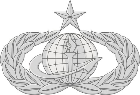 38f Force Support Badge