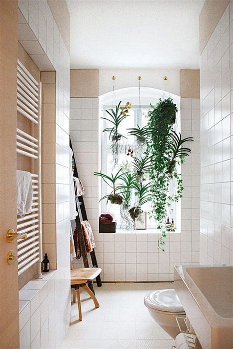 23 A Guide To The Best Plants For Your Bathroom Bathroom