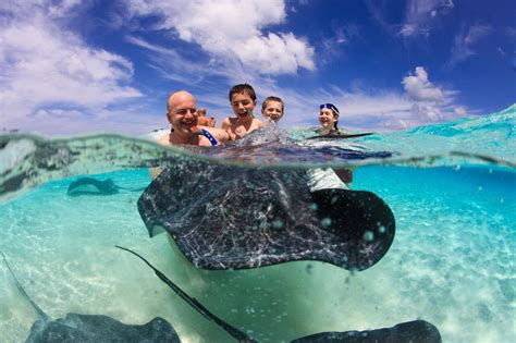 Enjoy A Private Stingray City Tour In Grand Cayman For Unforgettable Experience Unforgettable