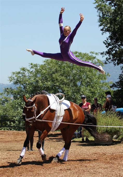 Pin By Christine Herrmann On Vaulting Horse Vaulting Trick Riding
