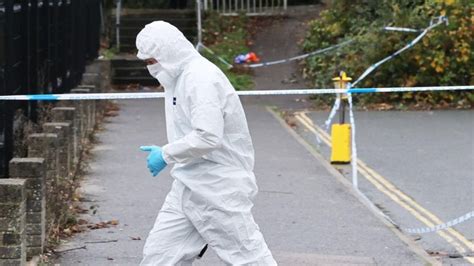 Crawley Stabbing Girl Admits Manslaughter BBC News