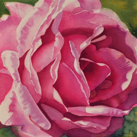 Rose Paintings