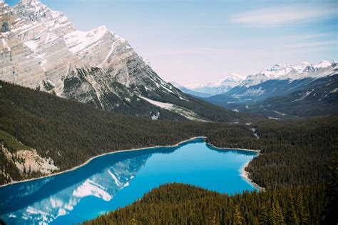 Magnifique Lac Peyto Parc National Banff Alberta Hellolaroux