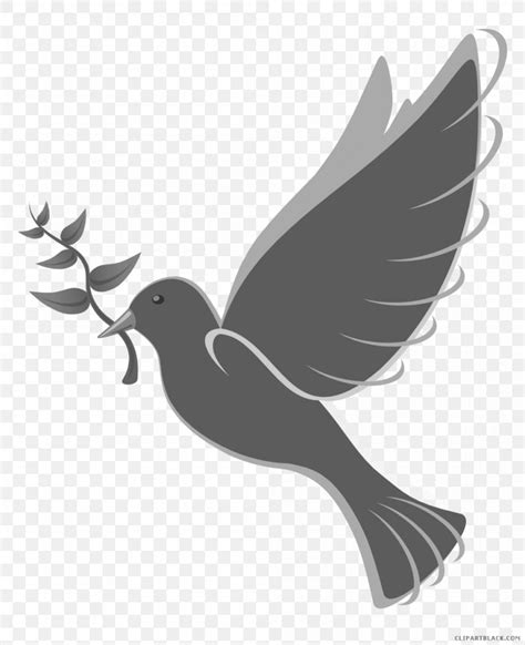 Pigeons And Doves Clip Art Free Content Domestic Pigeon Png