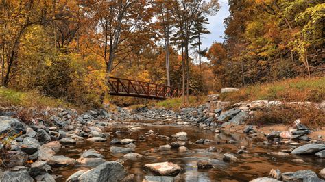 Forest River Bridge Autumn Landscape 4k Ultra Hd Desktop Wallpaper