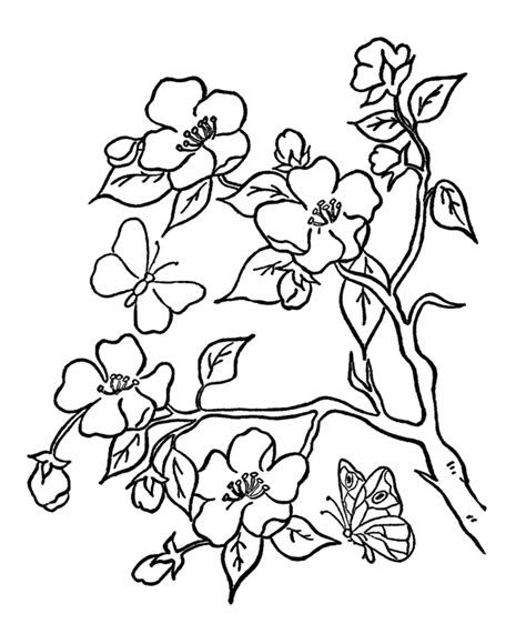 Free printable flowers coloring pages for adults. Butterfly On A Flower Coloring Page - Coloring Home