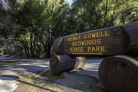 Henry Cowell Redwoods State Park In Northern California Santa Cruz