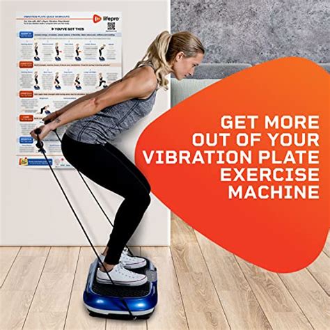 Lifepro Whole Body Vibration Plate Workout Poster Comprehensive
