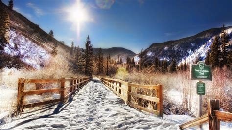 Forest Trees Sunlight Snow Mountains Fence Colorado Wallpapers Hd