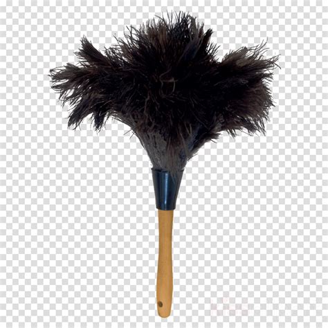 Download Hd Download Ostrich Feather Duster Png Clipart Common