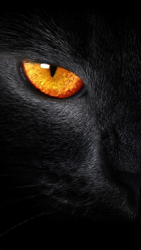Black Panther Iphone Wallpaper Wallpaper Photography Hd
