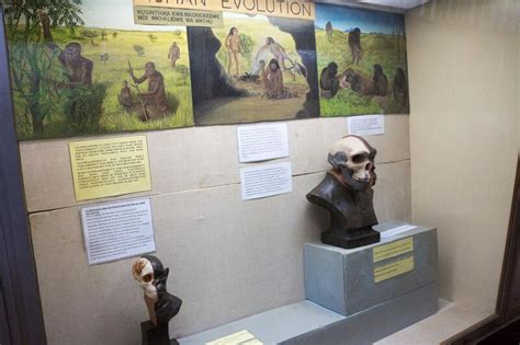 Filehuman Evolution Exhibit Blantyre Chichiri Museum Handwiki