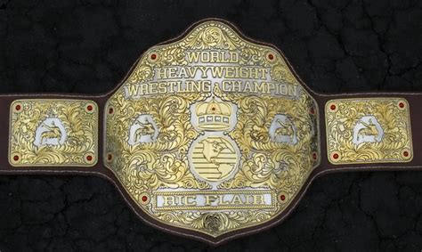 The Wrestling Insomniac The Year The Wcw Championship Changed Hands 25