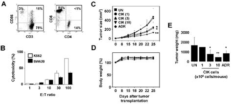 Antitumor Efficacy Of Cytokine Induced Killer Cik Cells For Crc In A