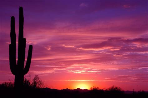 Desert Sunrise Pictures Desert Sunset Arizona Sunset