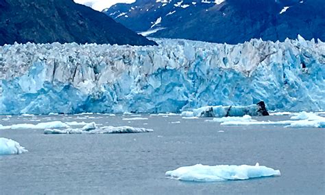 High Holy Day Lessons From An Alaskan Glacier Rabbi Paul Kipnes