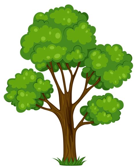 Tree Png Transparent Image Download Size 488x600px