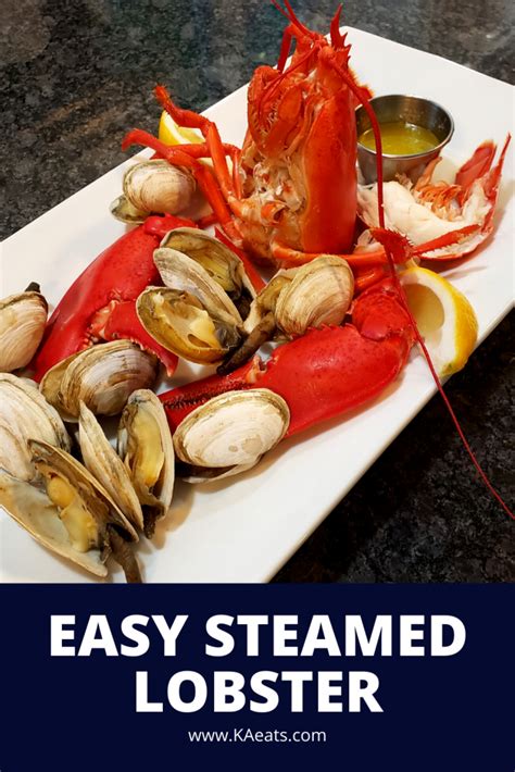 easy steamed lobster recipe easy dinner recipes easy seafood recipes steamed lobster