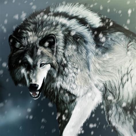 We did not find results for: 10 Best Cool Wolf Wallpaper Hd FULL HD 1920×1080 For PC ...