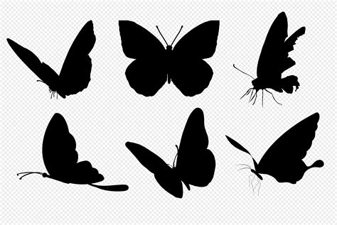 Butterfly Silhouette Png Images And Picture Free Download Lovepik
