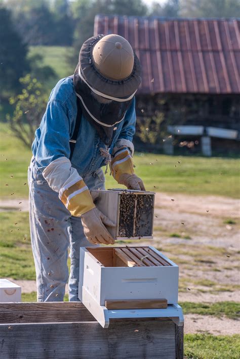 Beekeeping Registers Organic Gardener Magazine Australia