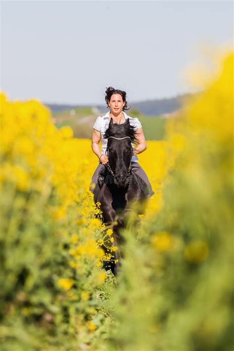 Woman Riding A Friesian Horse Stock Image Image Of Equestrian