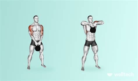 7 Front Delt Exercises For Well Built Shoulders Welltech
