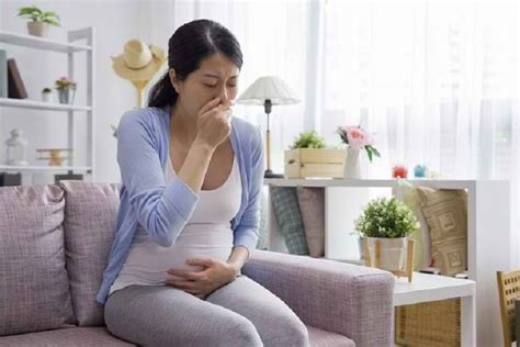 Mengenal Morning Sickness Pada Ibu Hamil Dan Manfaatnya LampuHijau