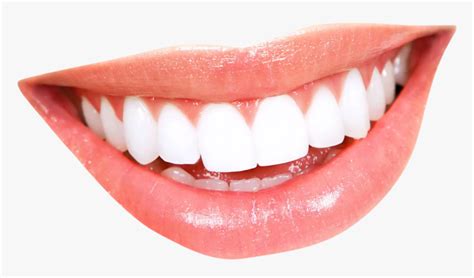 Smile Mouth Human Tooth - Teeth Smile Png, Transparent Png - kindpng