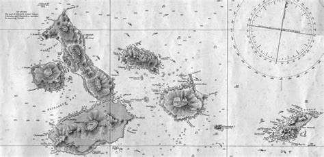 Ontdekking Nieuwe Soorten Op De Galapagos Eilanden Isgeschiedenis