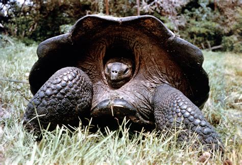 See Breathtaking Photos Of The Galapagos Islands On The Anniversary Of