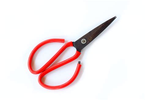 Uses For Garden Scissors Types Of Scissors For The Garden And How To