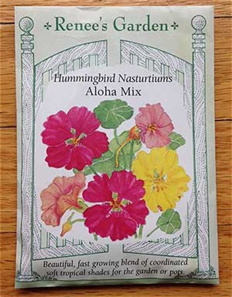 If you grow a taller variety you'll need to stake them. Edible flowers: Growing nasturtiums