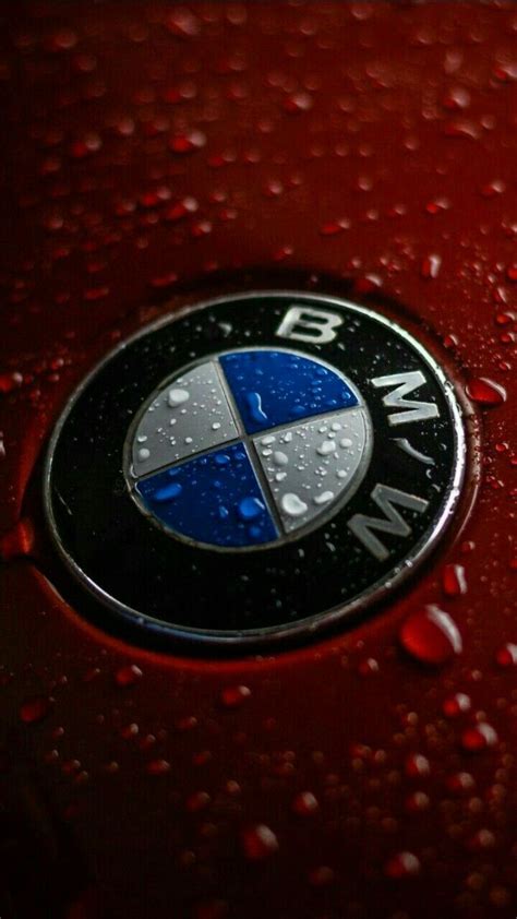 Bmw Logo Wallpaper 4k 2560x1440 Bmw Brand Logo 1440p Resolution Hd 4k