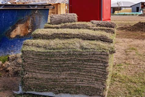 A Pallet Of Farmed Lawn Grass Stock Image Image Of Lawn Harvested