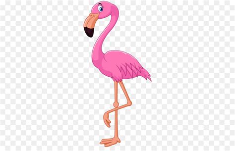 Flamingo Cartoon Clip Art Flamingo Png Download 1346