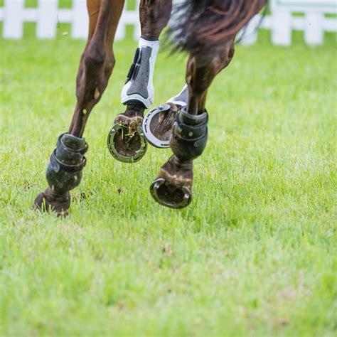 Do All Racehorses Wear Shoes