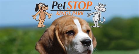 $31+ billion of that was spent on pet food alone (source)! PetSTOP Kings Park