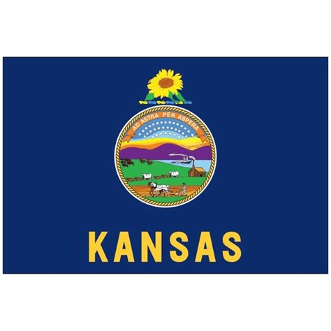 Kansas State Flag Flagpole Man