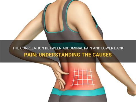 The Correlation Between Abdominal Pain And Lower Back Pain Understanding The Causes MedShun