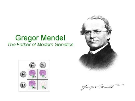 Gregor Mendel The Father Of Modern Genetics Gregor
