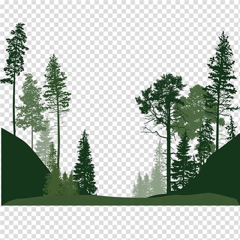 силуэт деревьев иллюстрации лес евклидов лесные деревья PNG HotPNG