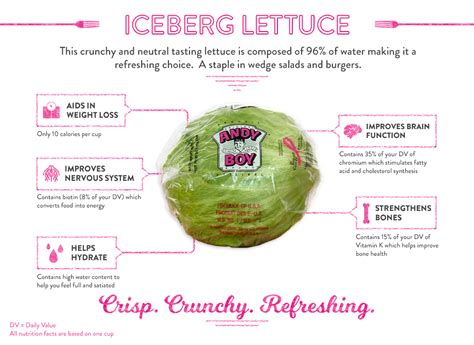 Iceberg Lettuce Andy Boy