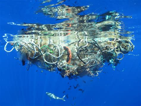 Scripps Scientists Exploring The Great Pacific Garbage Patch Kpbs My